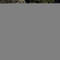 1624276688 shutterstock 1156319998.jpg?w=60&h=60&dpr=1